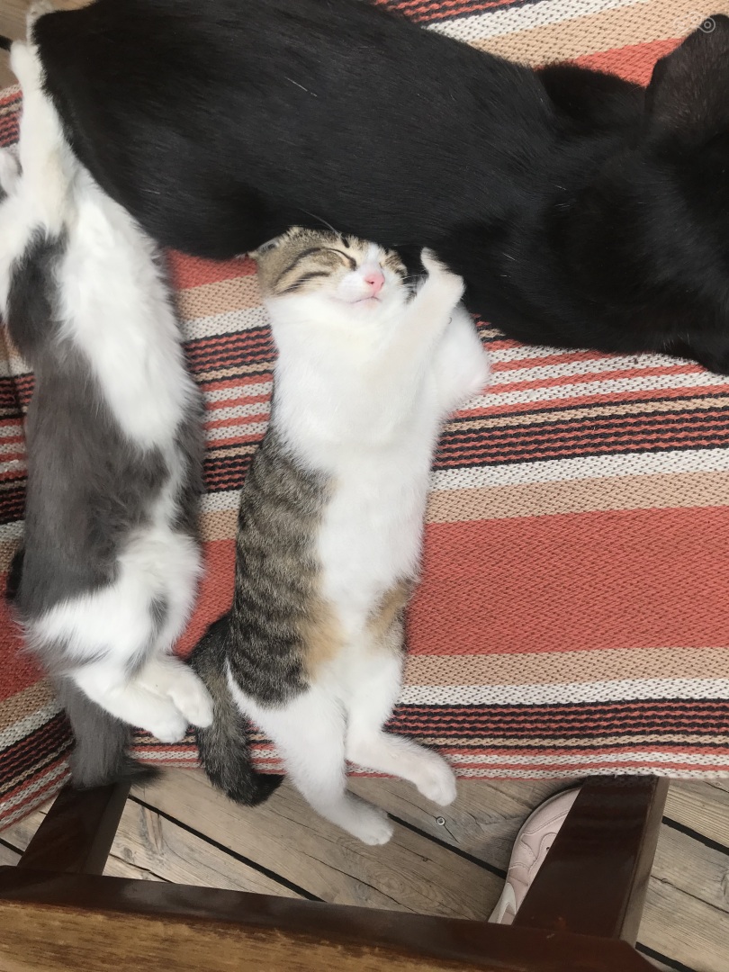 Вы почти дочитали, поздравляю, дайте глазам отдохнуть! :)