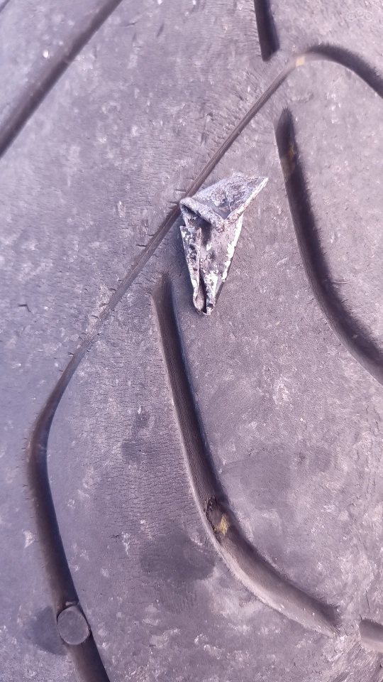 Вот она падла