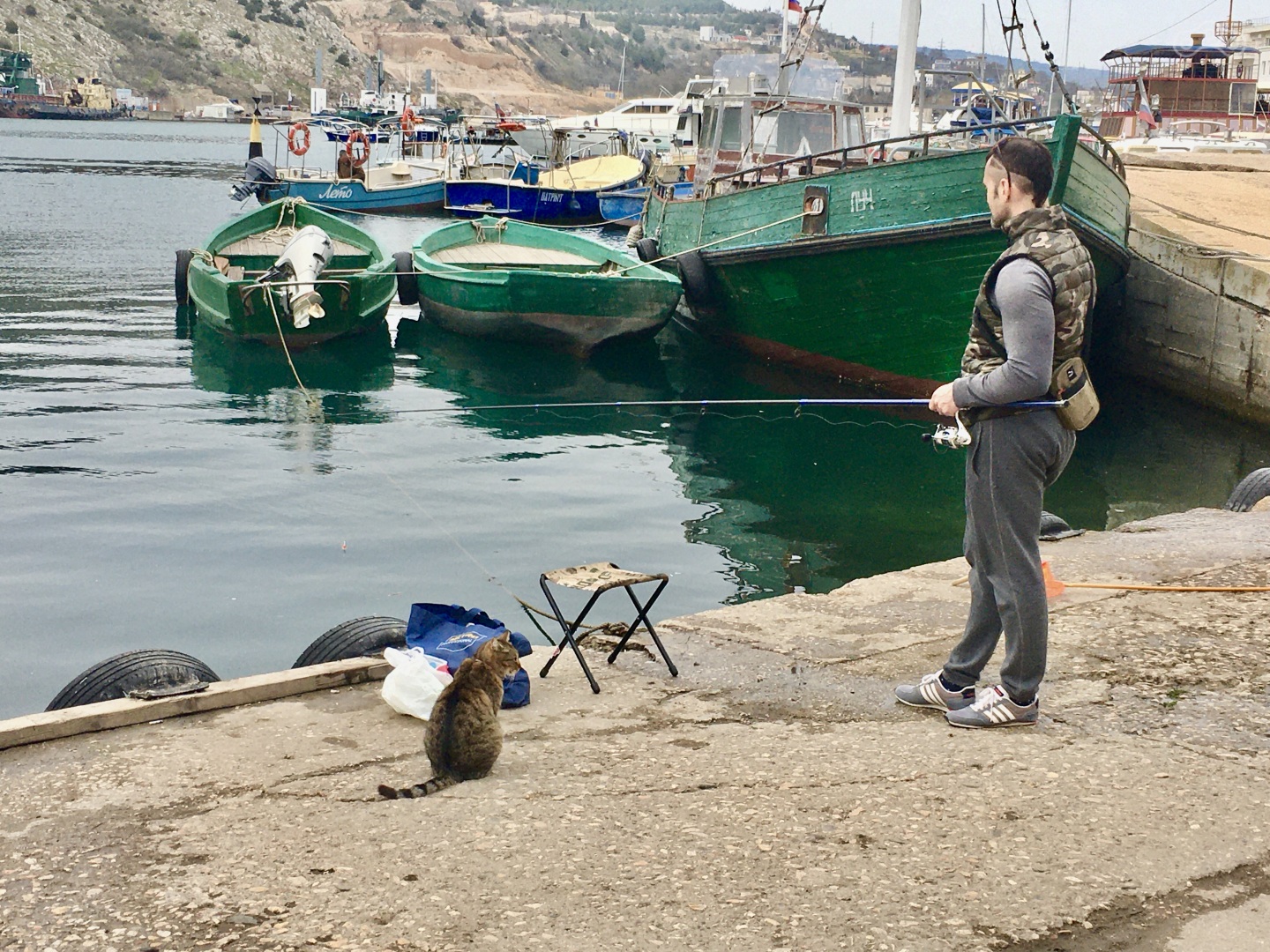 Покормить котиков - святое 😇