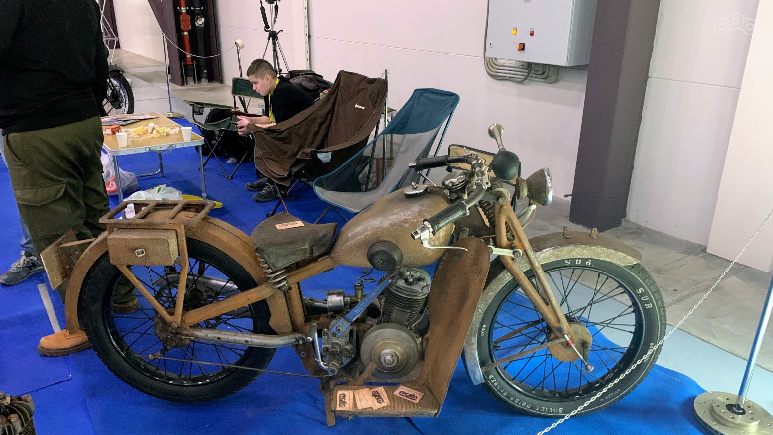 26. Неосознанный экземпляр, обещающий тоже стать конфетой