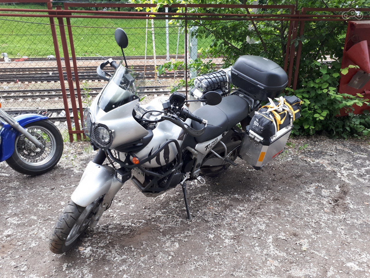 Тигр гружёный, вид сбоку