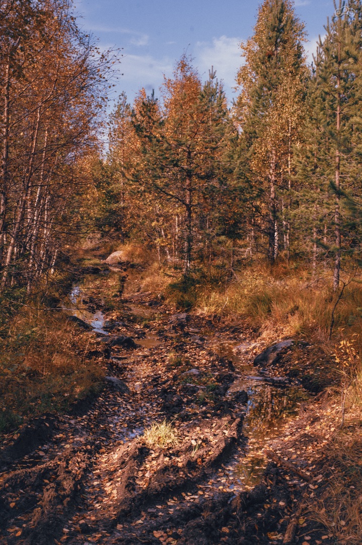 Это всё ещё дорога — понятно куда ехать