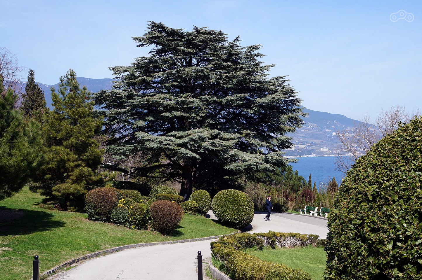 Вырваться из московского мартовского ада в солнечный Крым – бесценно!