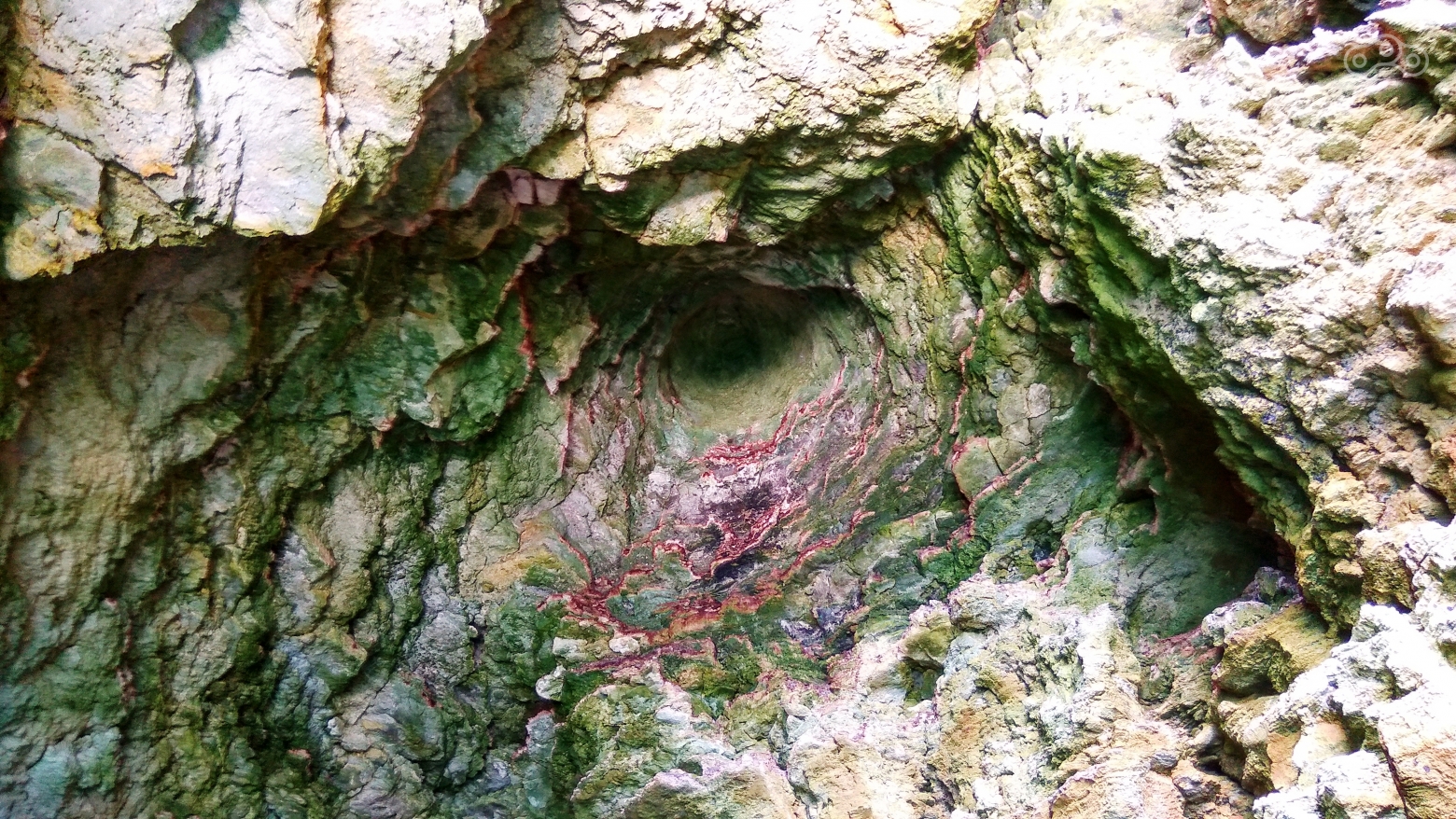 Потолок одного из гротов. Национальный природный парк Тарханкутский, Крым