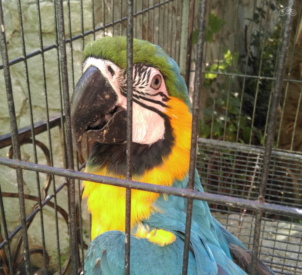 Давай, давай!