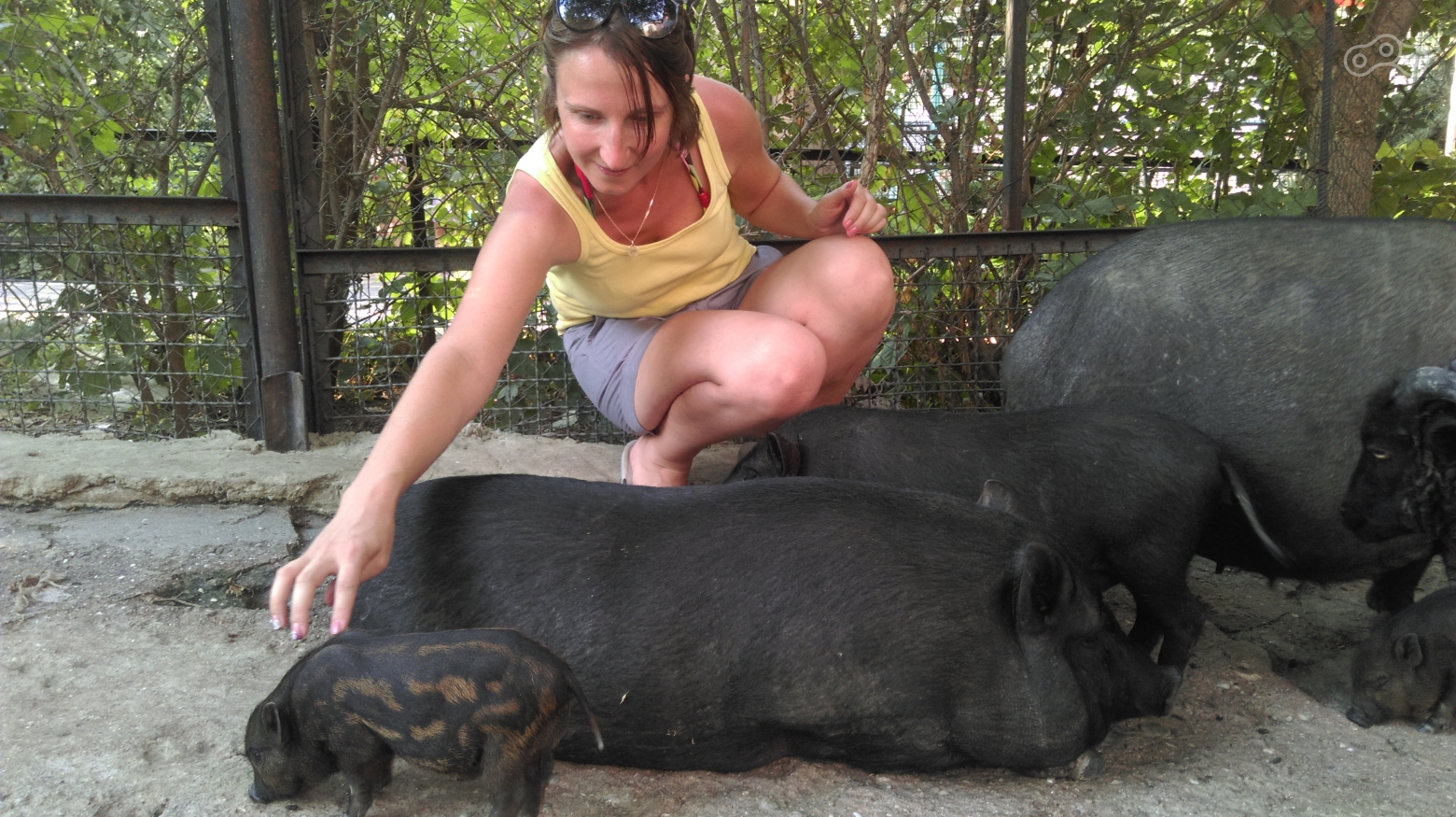 В гостях у бабушки