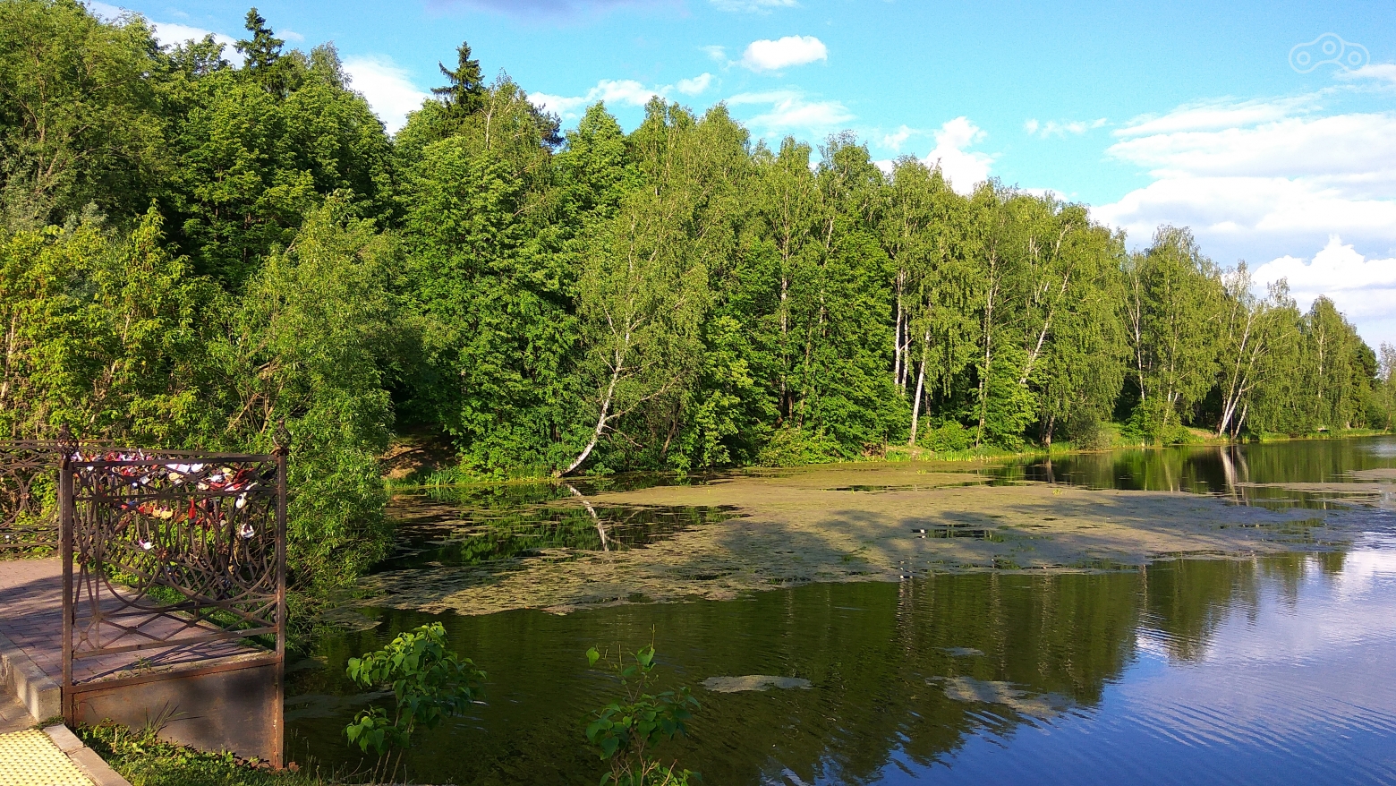 Пруд. Захарово, Московская область