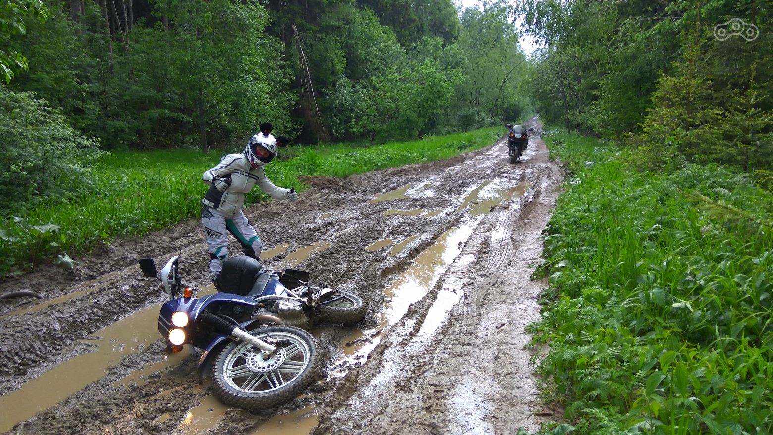 Лосяш прилег отдохнуть... Жилино, Московская область