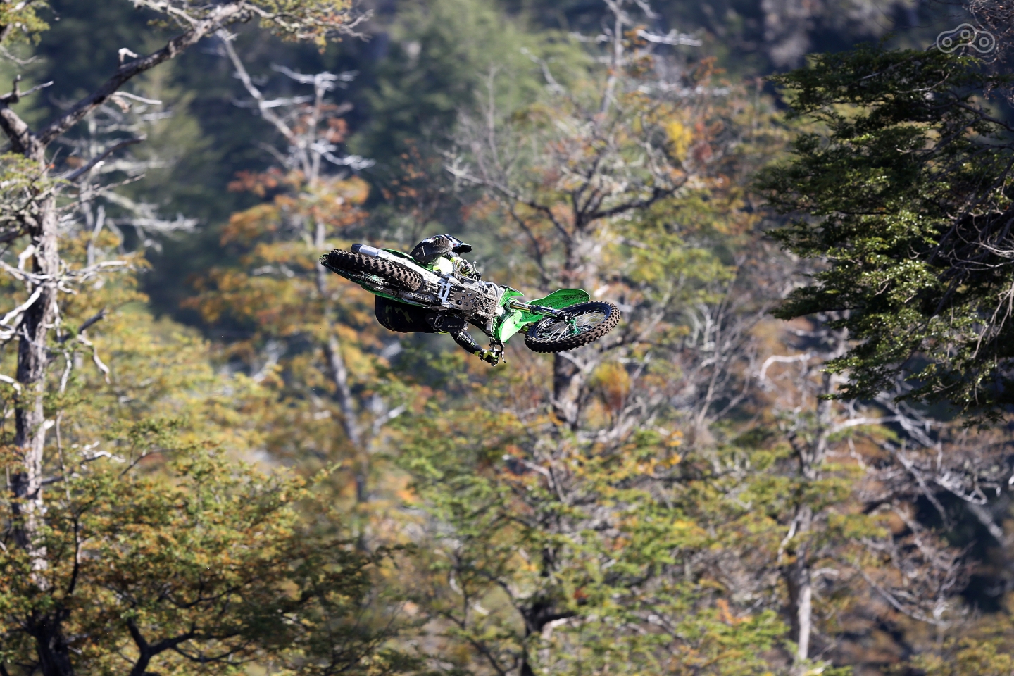 FIM Motocross World Championship