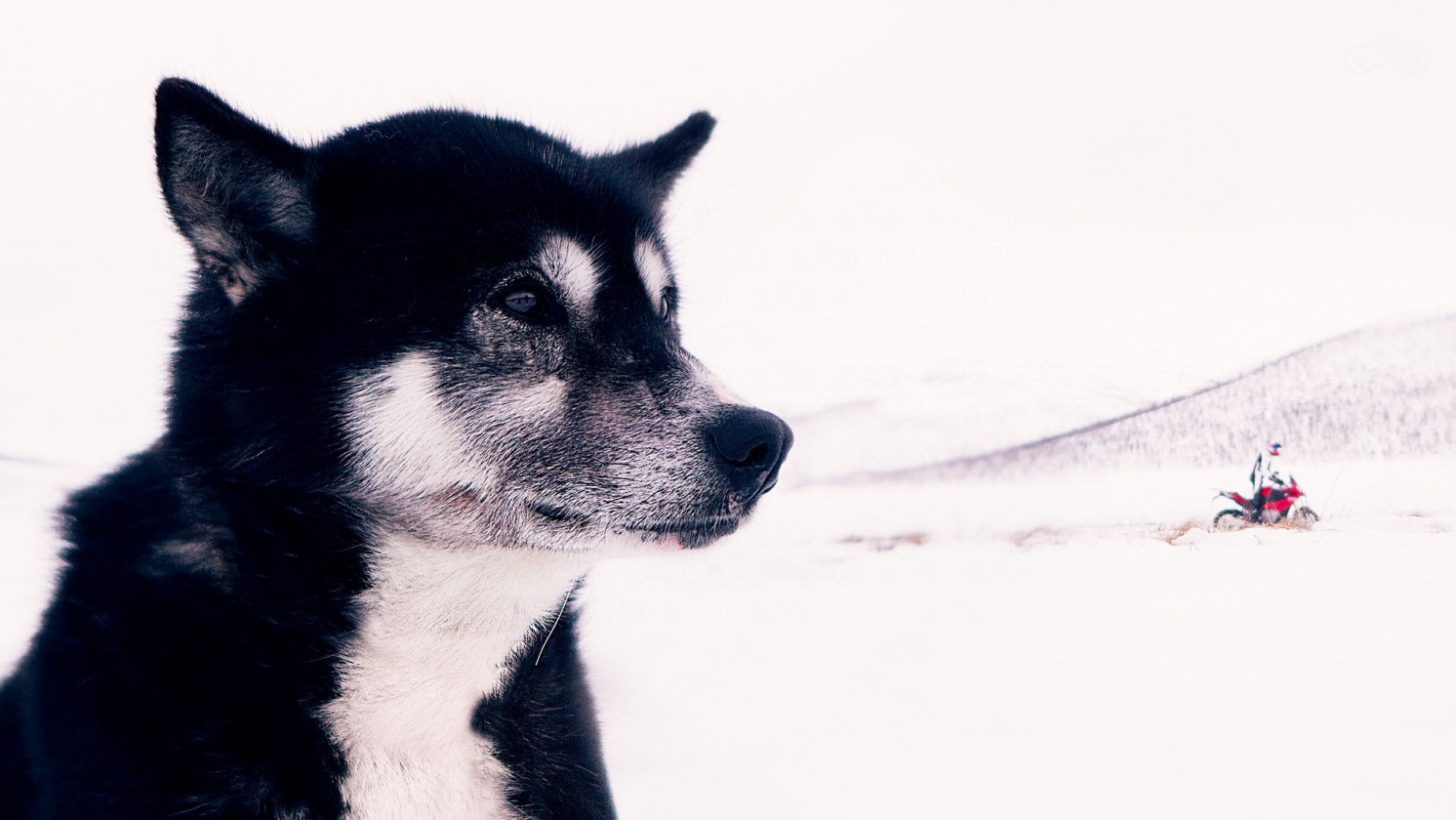 BMW Webspecial S1000XR